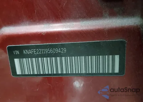 2009 Kia Spectra Ex из США, поврежденный, VIN KNAFE221195609429